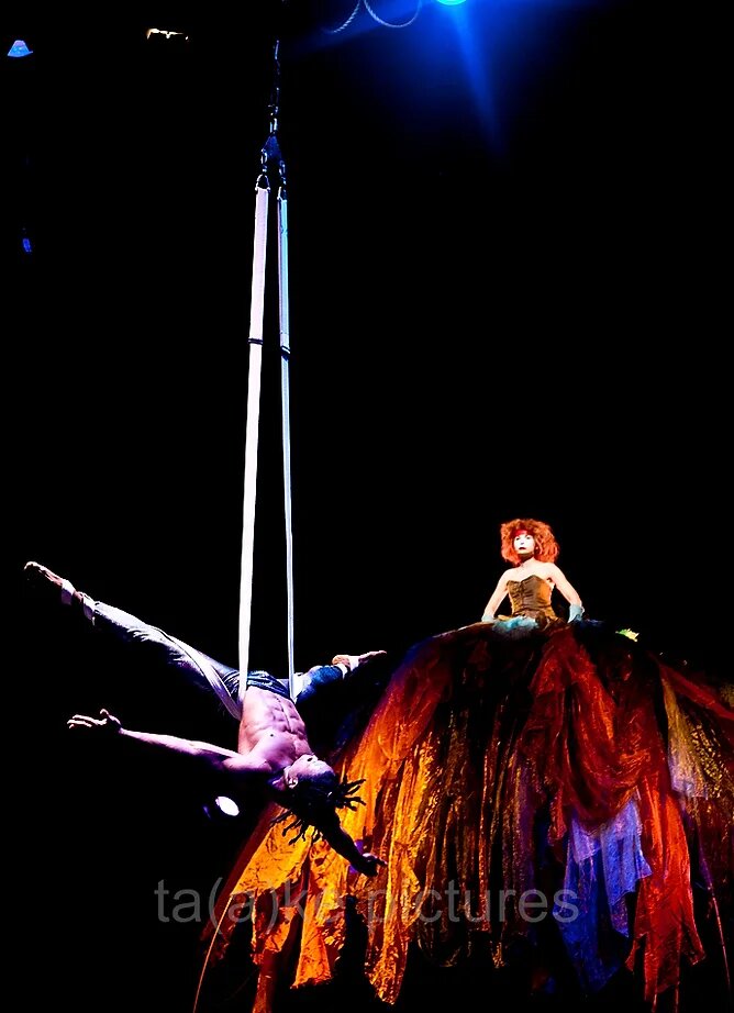 les-nono-font-leur-cirque-01