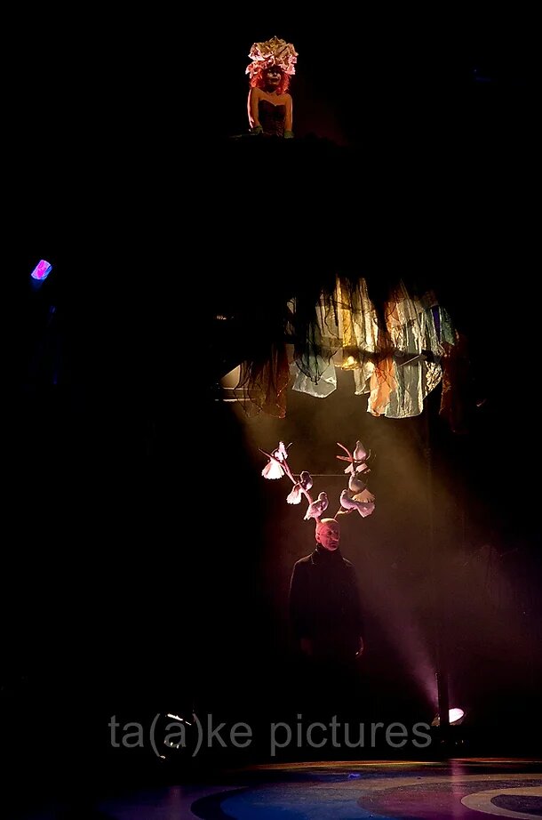 les-nono-font-leur-cirque-09